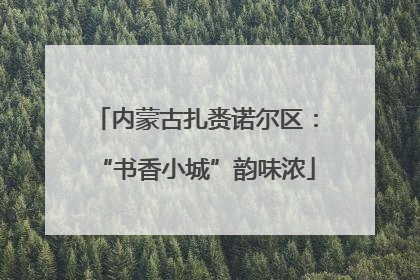 内蒙古扎赉诺尔区：“书香小城”韵味浓