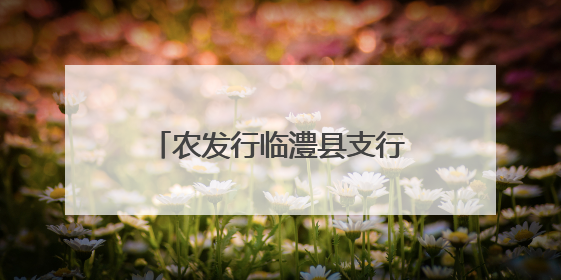 农发行临澧县支行开展消防安全培训