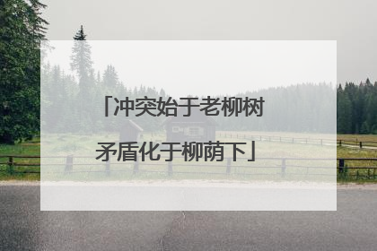 冲突始于老柳树 矛盾化于柳荫下