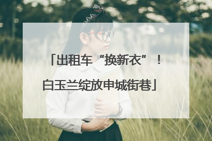 出租车“换新衣”！白玉兰绽放申城街巷