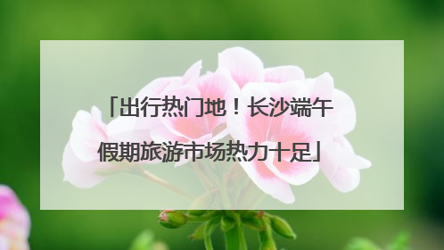 出行热门地！长沙端午假期旅游市场热力十足