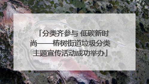 分类齐参与 低碳新时尚——椿树街道垃圾分类主题宣传活动成功举办