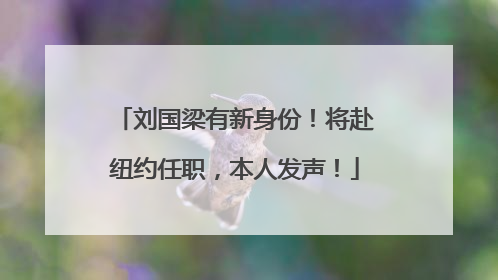 刘国梁有新身份！将赴纽约任职，本人发声！