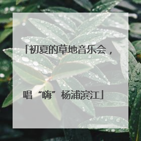 初夏的草地音乐会，唱“嗨”杨浦滨江