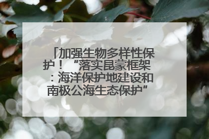 加强生物多样性保护！“落实昆蒙框架：海洋保护地建设和南极公海生态保护”主题论坛将举办