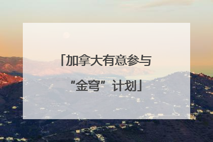 加拿大有意参与“金穹”计划