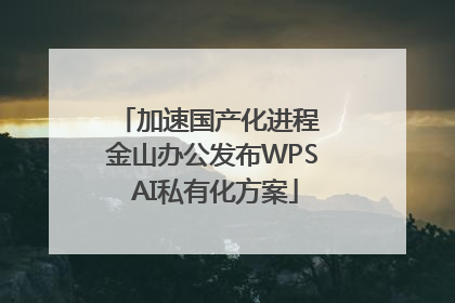 加速国产化进程 金山办公发布WPS AI私有化方案