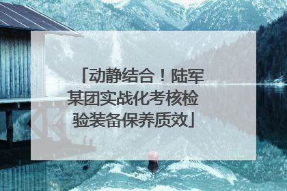 动静结合！陆军某团实战化考核检验装备保养质效