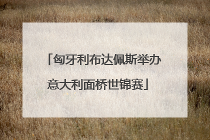 匈牙利布达佩斯举办意大利面桥世锦赛