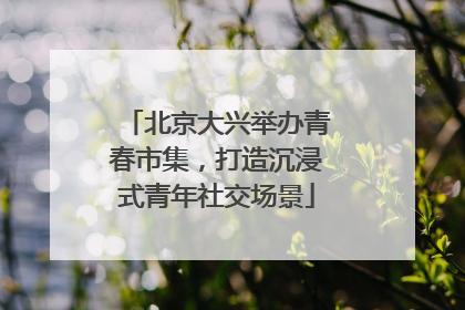 北京大兴举办青春市集，打造沉浸式青年社交场景