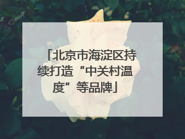 北京市海淀区持续打造“中关村温度”等品牌