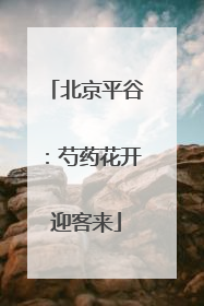 北京平谷：芍药花开迎客来