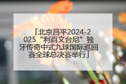 北京昌平2024-2025“利百文台尼”独牙传奇中式九球国际巡回赛全球总决赛举行