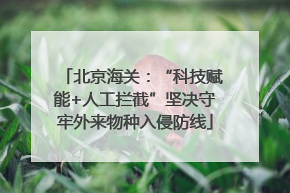 北京海关：“科技赋能+人工拦截”坚决守牢外来物种入侵防线