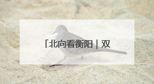 北向看衡阳｜双塔凌云！衡阳首家超五星级酒店明年6月开业