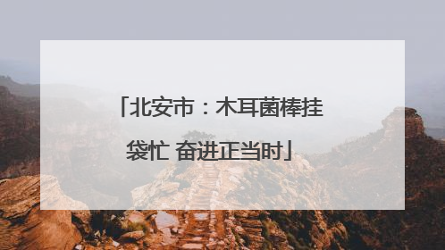 北安市：木耳菌棒挂袋忙 奋进正当时