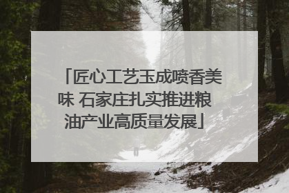匠心工艺玉成喷香美味 石家庄扎实推进粮油产业高质量发展