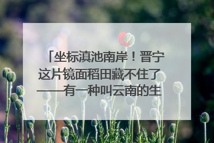 坐标滇池南岸！晋宁这片镜面稻田藏不住了——有一种叫云南的生活之365天