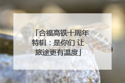 合福高铁十周年特辑：是你们 让旅途更有温度