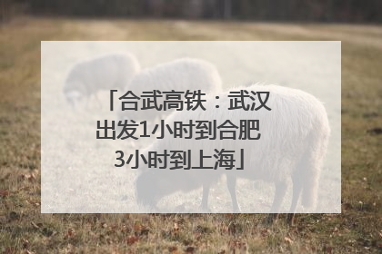 合武高铁：武汉出发1小时到合肥3小时到上海