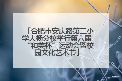 合肥市安庆路第三小学大杨分校举行第六届“和美杯”运动会暨校园文化艺术节