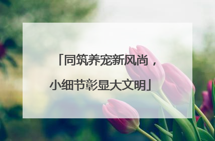 同筑养宠新风尚，小细节彰显大文明