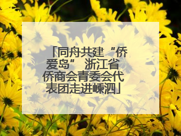 同舟共建“侨爱岛” 浙江省侨商会青委会代表团走进嵊泗