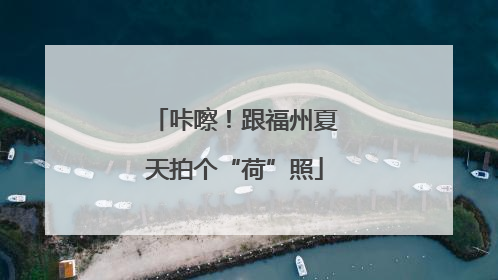 咔嚓！跟福州夏天拍个“荷”照