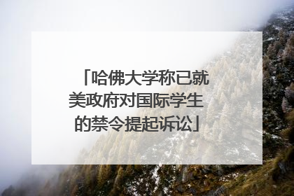 哈佛大学称已就美政府对国际学生的禁令提起诉讼