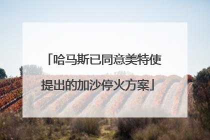 哈马斯已同意美特使提出的加沙停火方案