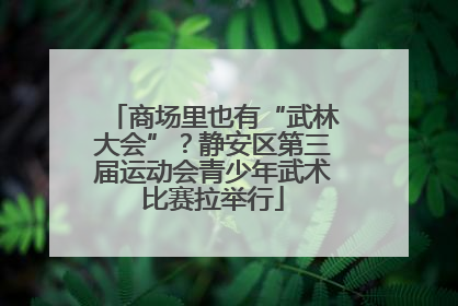 商场里也有“武林大会”？静安区第三届运动会青少年武术比赛拉举行