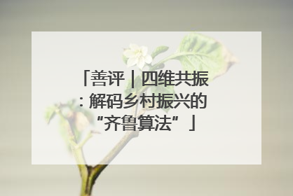善评｜四维共振：解码乡村振兴的“齐鲁算法”