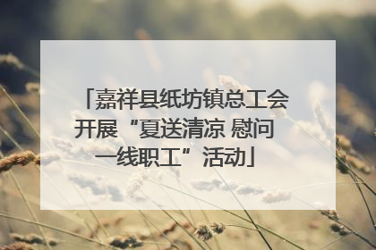 嘉祥县纸坊镇总工会开展“夏送清凉 慰问一线职工”活动