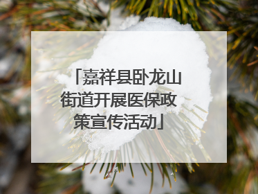 嘉祥县卧龙山街道开展医保政策宣传活动