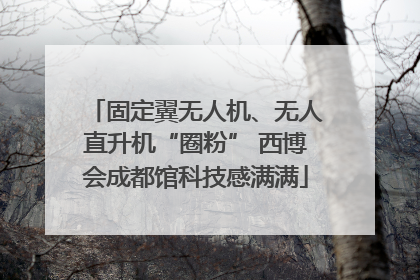 固定翼无人机、无人直升机“圈粉” 西博会成都馆科技感满满