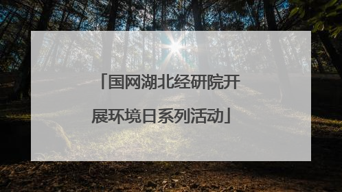 国网湖北经研院开展环境日系列活动