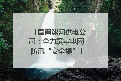 国网漯河供电公司：全力筑牢电网防汛“安全堤”