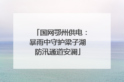 国网鄂州供电：暴雨中守护梁子湖防汛通道安澜