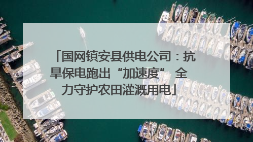 国网镇安县供电公司：抗旱保电跑出“加速度” 全力守护农田灌溉用电