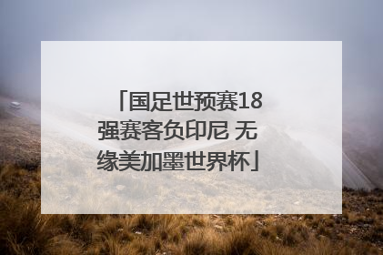 国足世预赛18强赛客负印尼 无缘美加墨世界杯