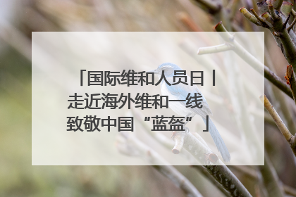 国际维和人员日丨走近海外维和一线 致敬中国“蓝盔”