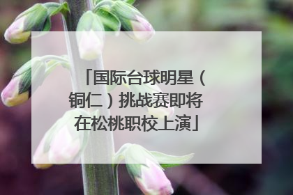国际台球明星（铜仁）挑战赛即将在松桃职校上演