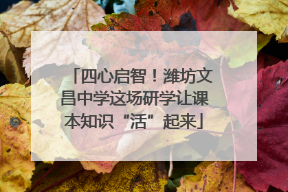 四心启智！潍坊文昌中学这场研学让课本知识“活”起来