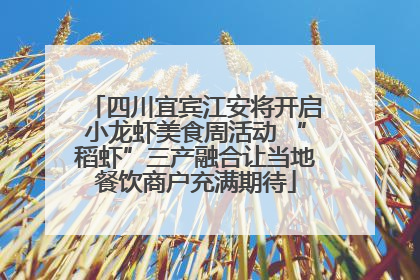 四川宜宾江安将开启小龙虾美食周活动 “稻虾”三产融合让当地餐饮商户充满期待
