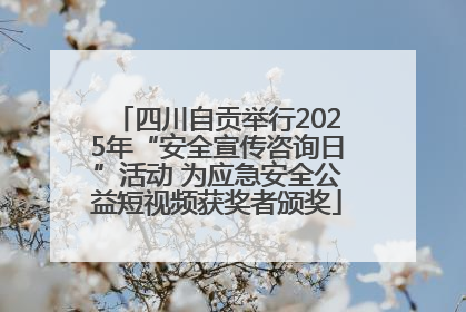 四川自贡举行2025年“安全宣传咨询日”活动 为应急安全公益短视频获奖者颁奖