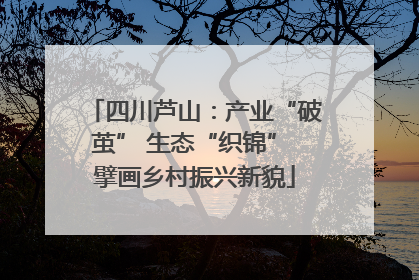 四川芦山：产业“破茧” 生态“织锦” 擘画乡村振兴新貌