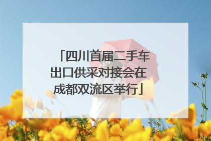 四川首届二手车出口供采对接会在成都双流区举行