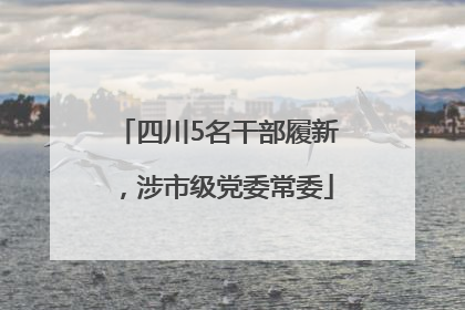 四川5名干部履新，涉市级党委常委