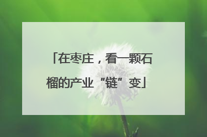 在枣庄，看一颗石榴的产业“链”变