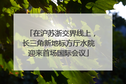 在沪苏浙交界线上，长三角新地标方厅水院迎来首场国际会议